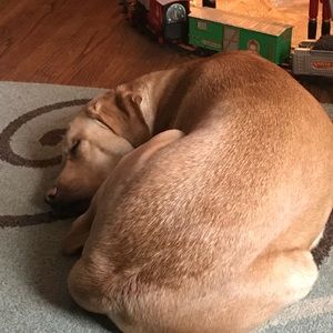 Meet your Posher, Kathy